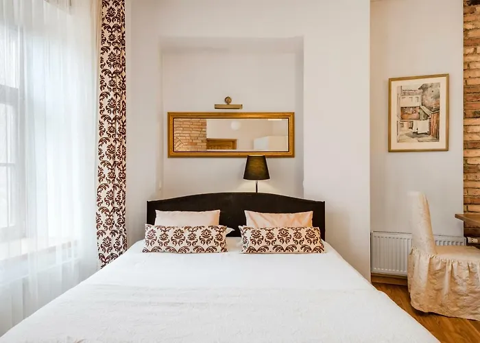 斯特普诺公寓 维尔纽斯